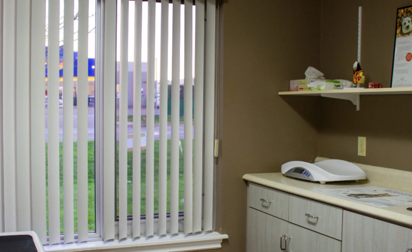 Exam room with table and window Exam room with table and window