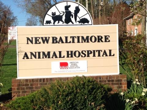 Animal Hospital in Warrenton, VA | New Baltimore Animal Hospital