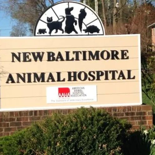 New Baltimore Animal Hospital Sign