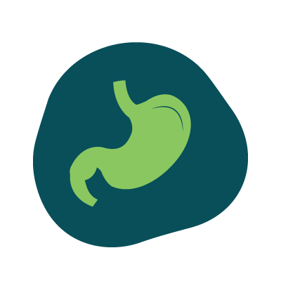 Icon of a stomach