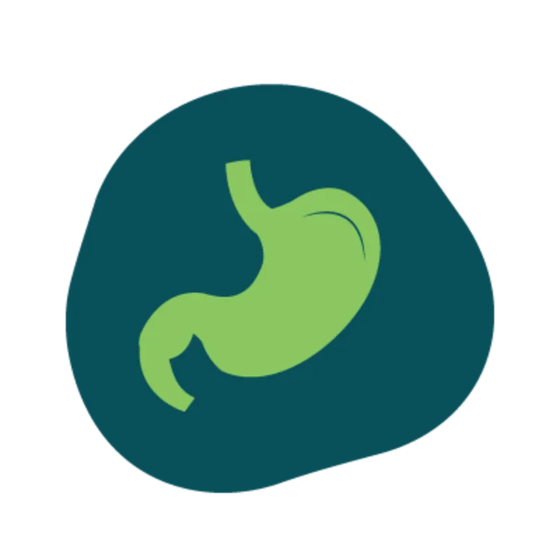 Icon of a stomach Icon of a stomach
