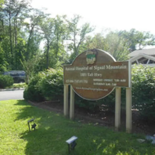 Animal Hospital of Signal Mountain Sign