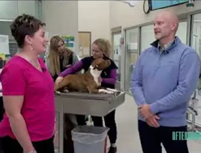 PacWest 24/7 Emergency and Critical Care For Pets PacWest 24/7 Emergency and Critical Care For Pets