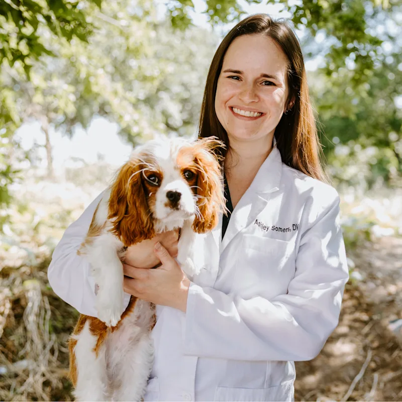 Dr. Ashley Somers Dr. Ashley Somers