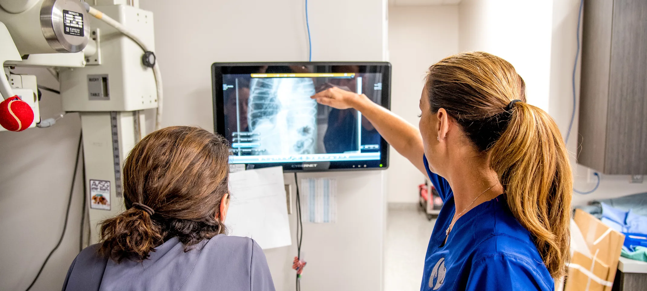 Vets examining an x-ray