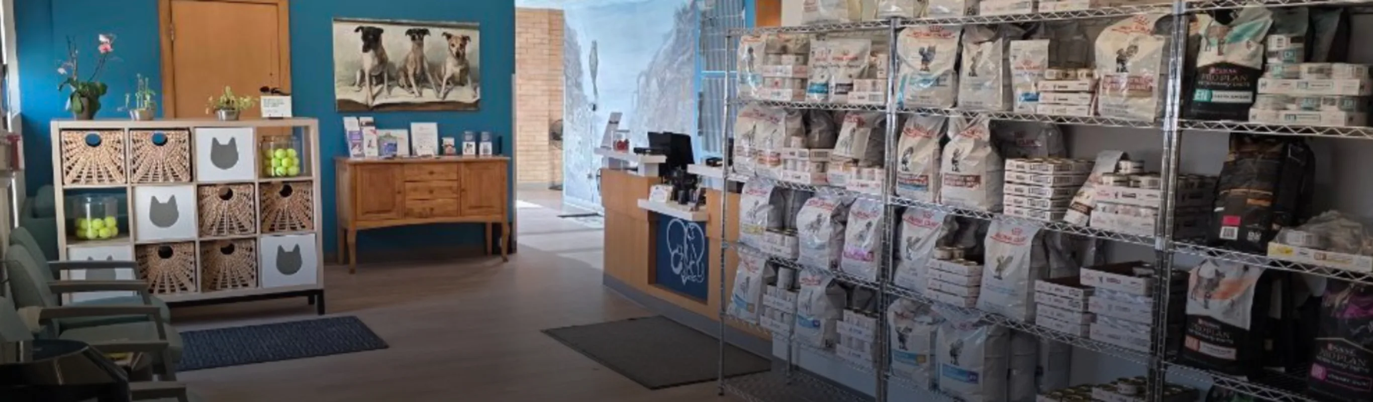 Food Supply Shelves at Tender Touch Animal Hospital Food Supply Shelves at Tender Touch Animal Hospital