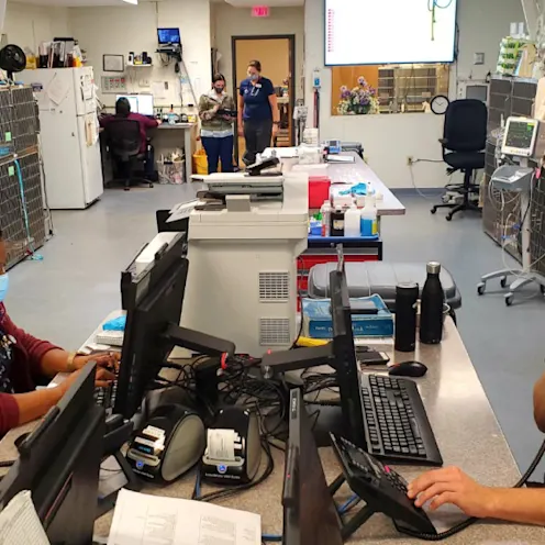 Staff in the ER working phones and getting ready for patients Staff in the ER working phones and getting ready for patients