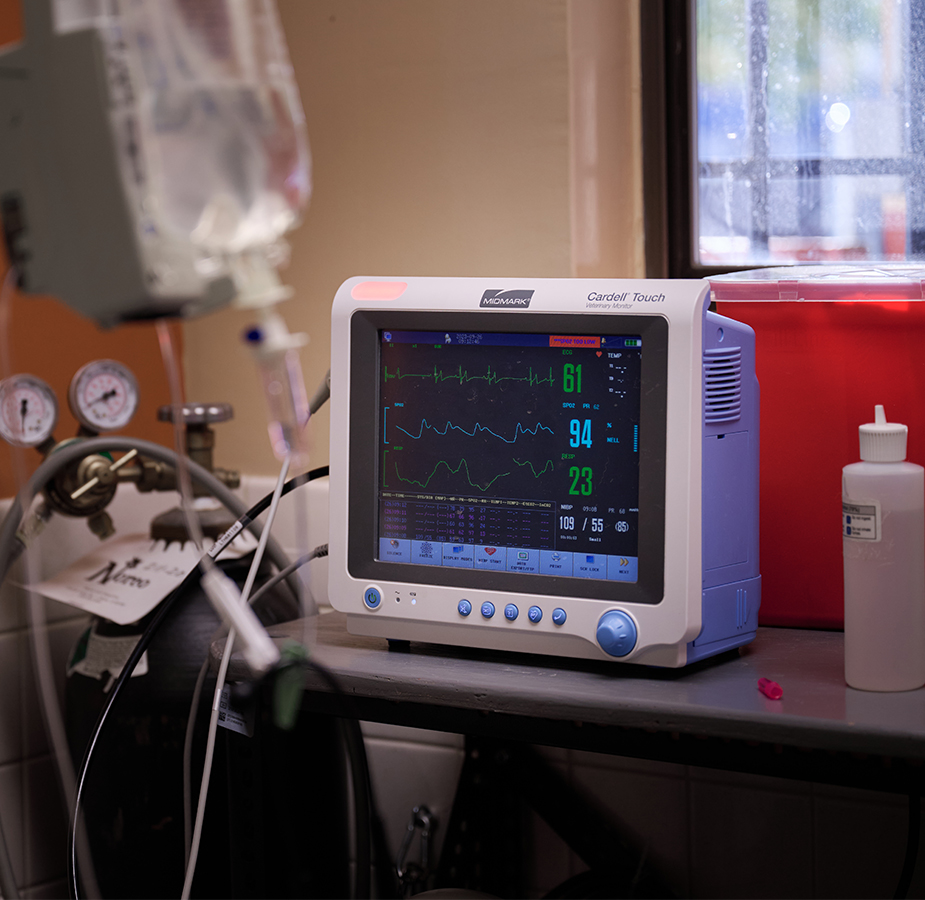 Vital monitoring screen