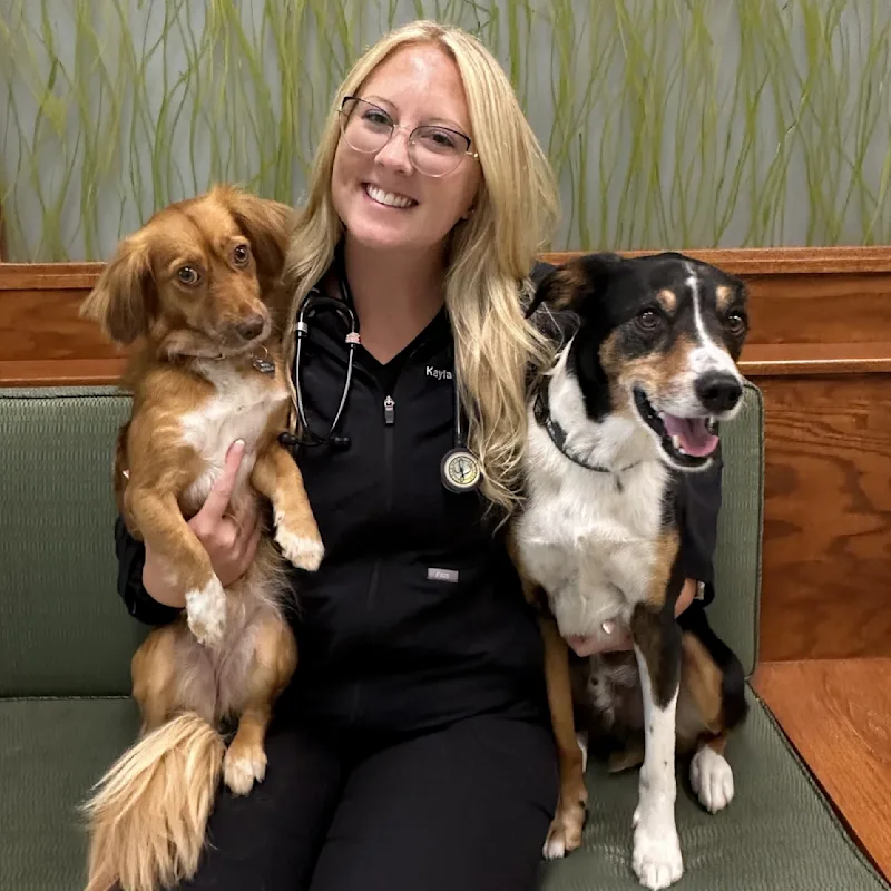Dr. Kayla Brandt Dr. Kayla Brandt
