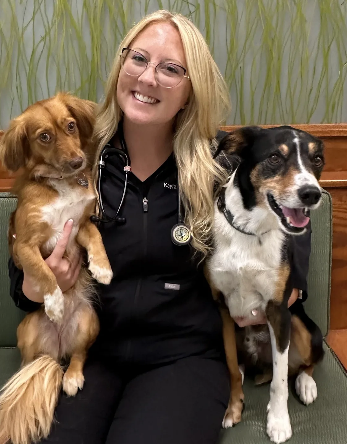 Dr. Kayla Brandt Dr. Kayla Brandt