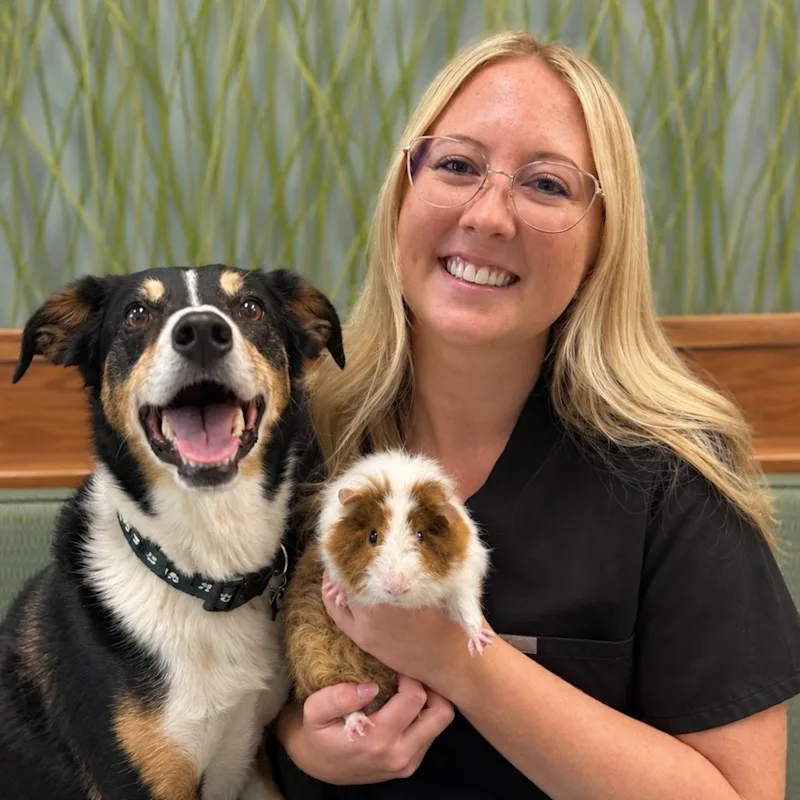 Dr. Kayla Brandt Dr. Kayla Brandt