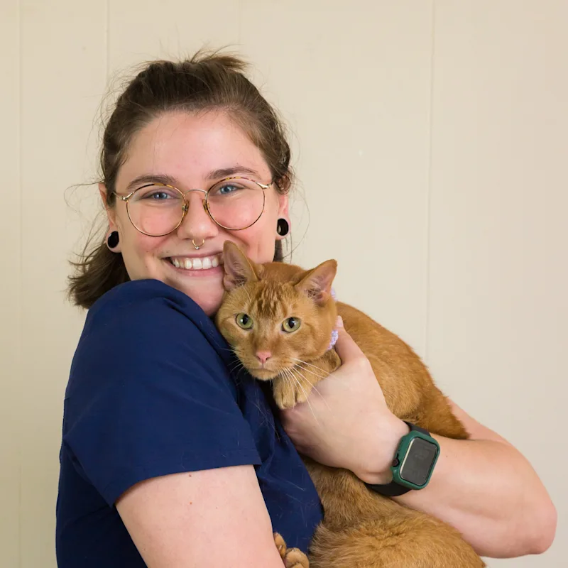 Wylie's Premier Veterinarians | Wylie Veterinary Hospital