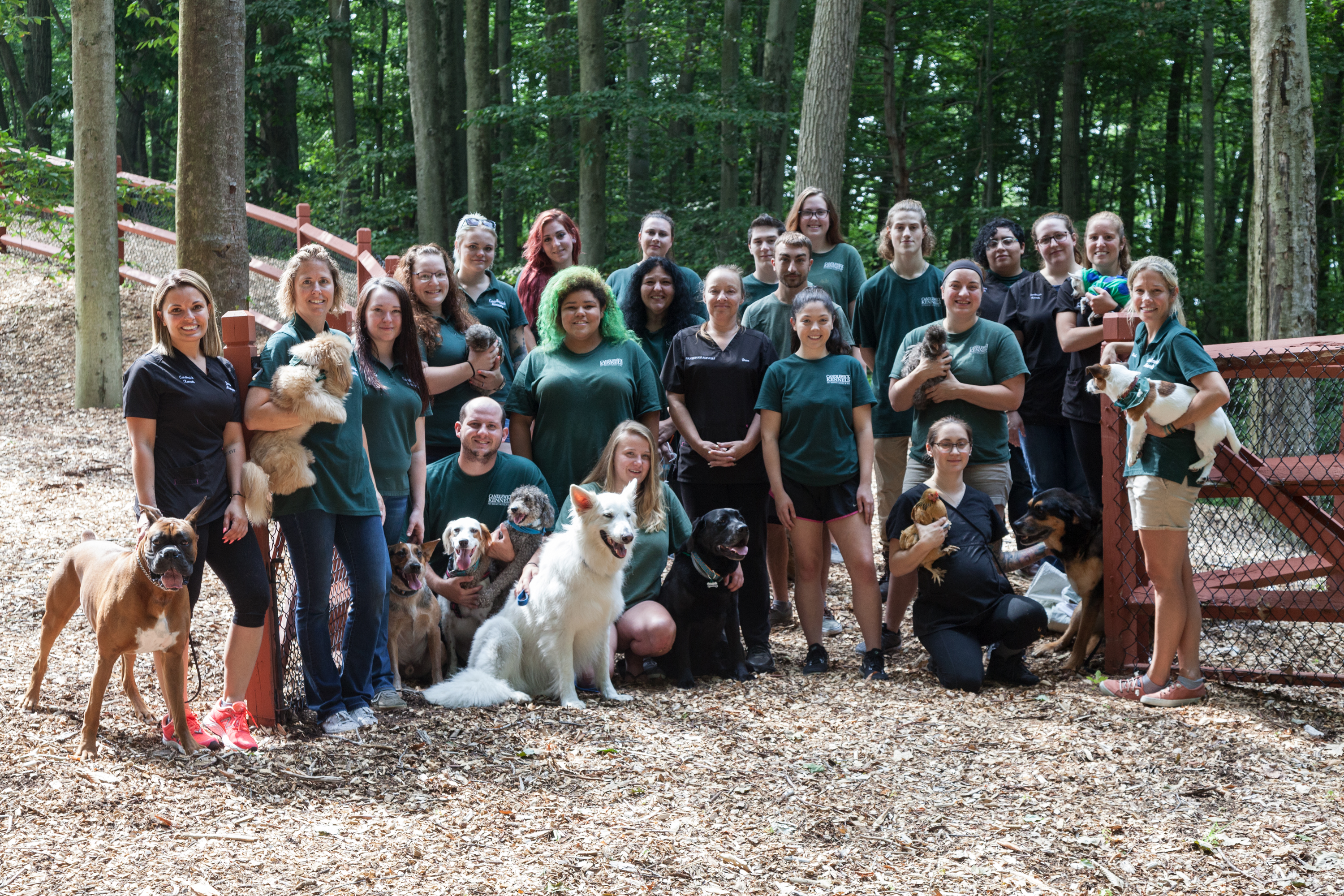Candlewick Kennels Team Photo