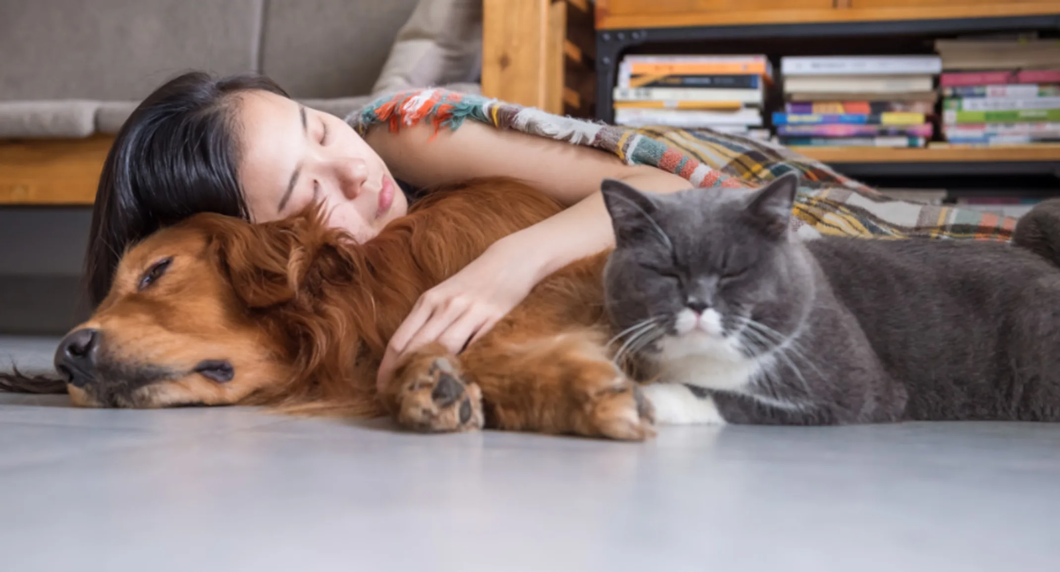 Lady laying on the floor cuddling an orange dog and gray and white cat Lady laying on the floor cuddling an orange dog and gray and white cat