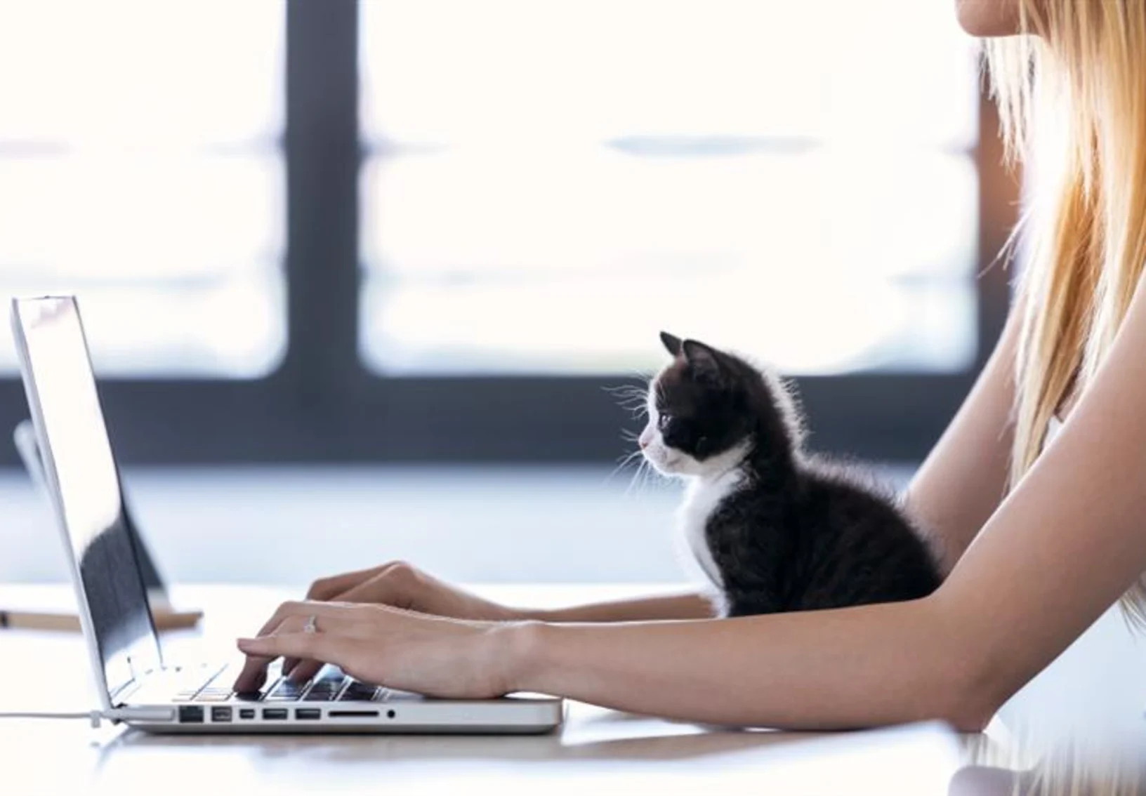 Woman and kitten looking at laptop
