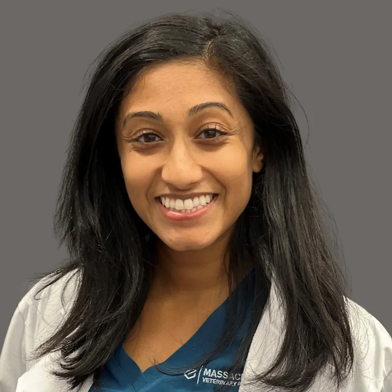 Sumana Prabhakar Sumana Prabhakar