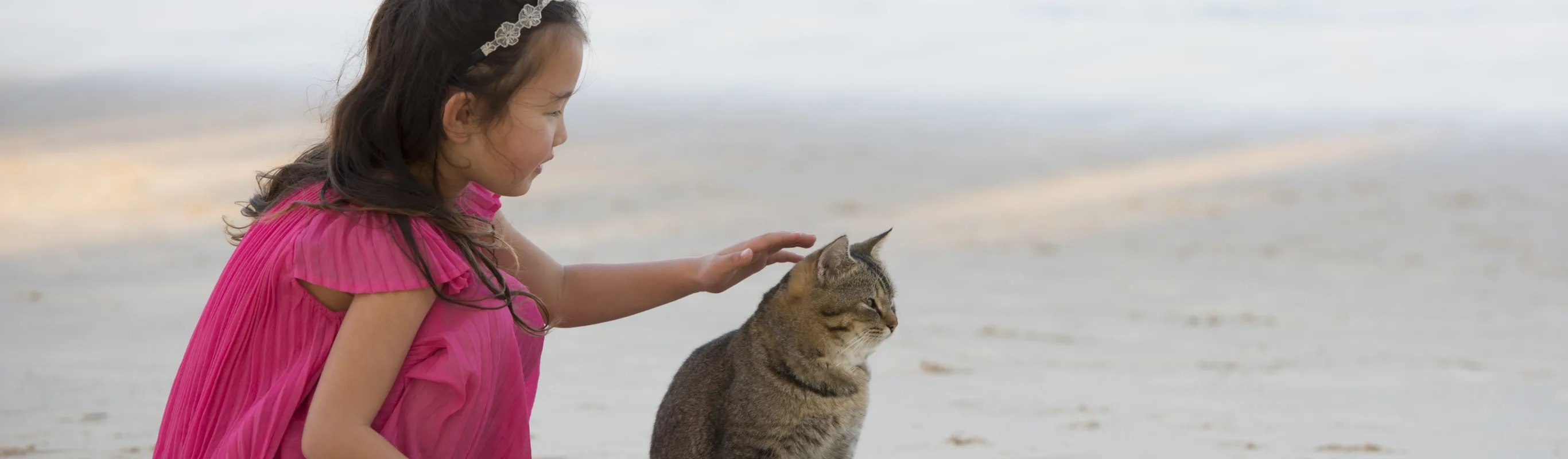 Cat and child on the beach