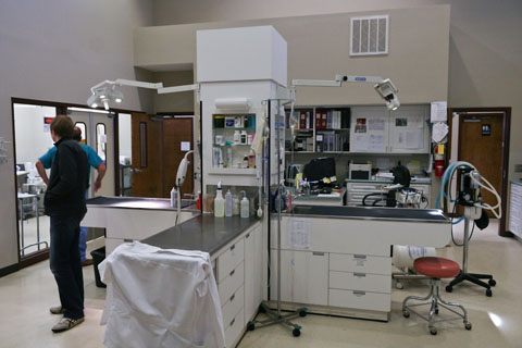 Lake Chatuge Animal Hospital Treatment Area