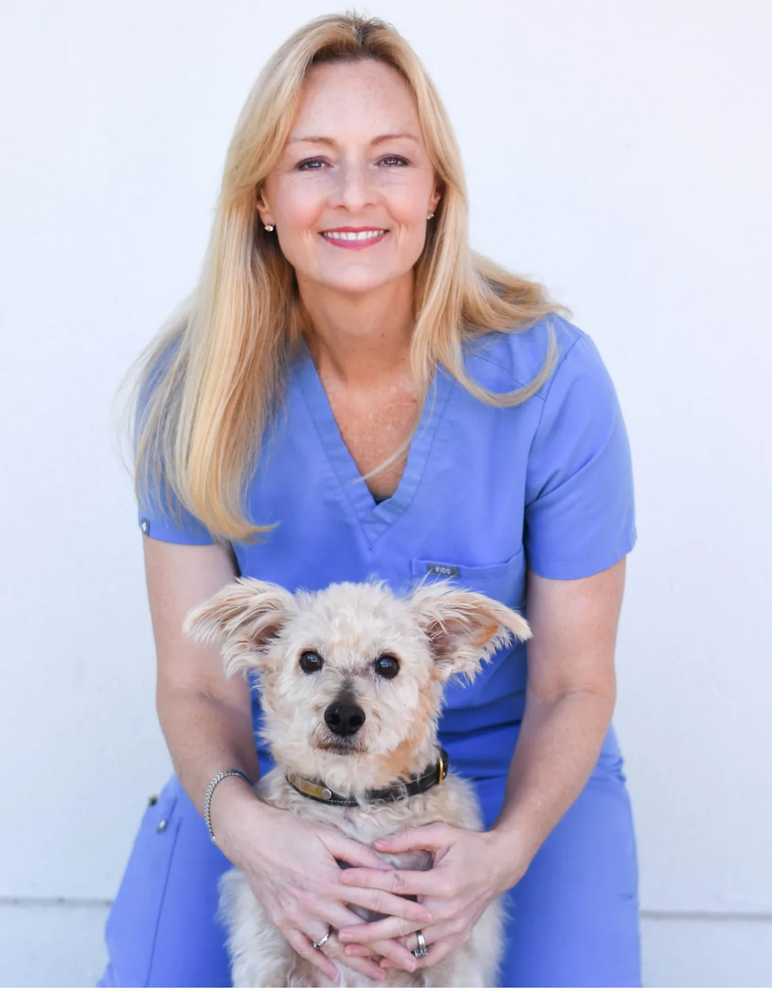 Allison Steele Wegmann with a brown dog Allison Steele Wegmann with a brown dog