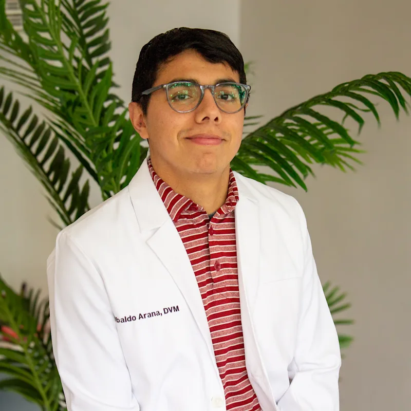 Dr. Ubaldo Arana Dr. Ubaldo Arana