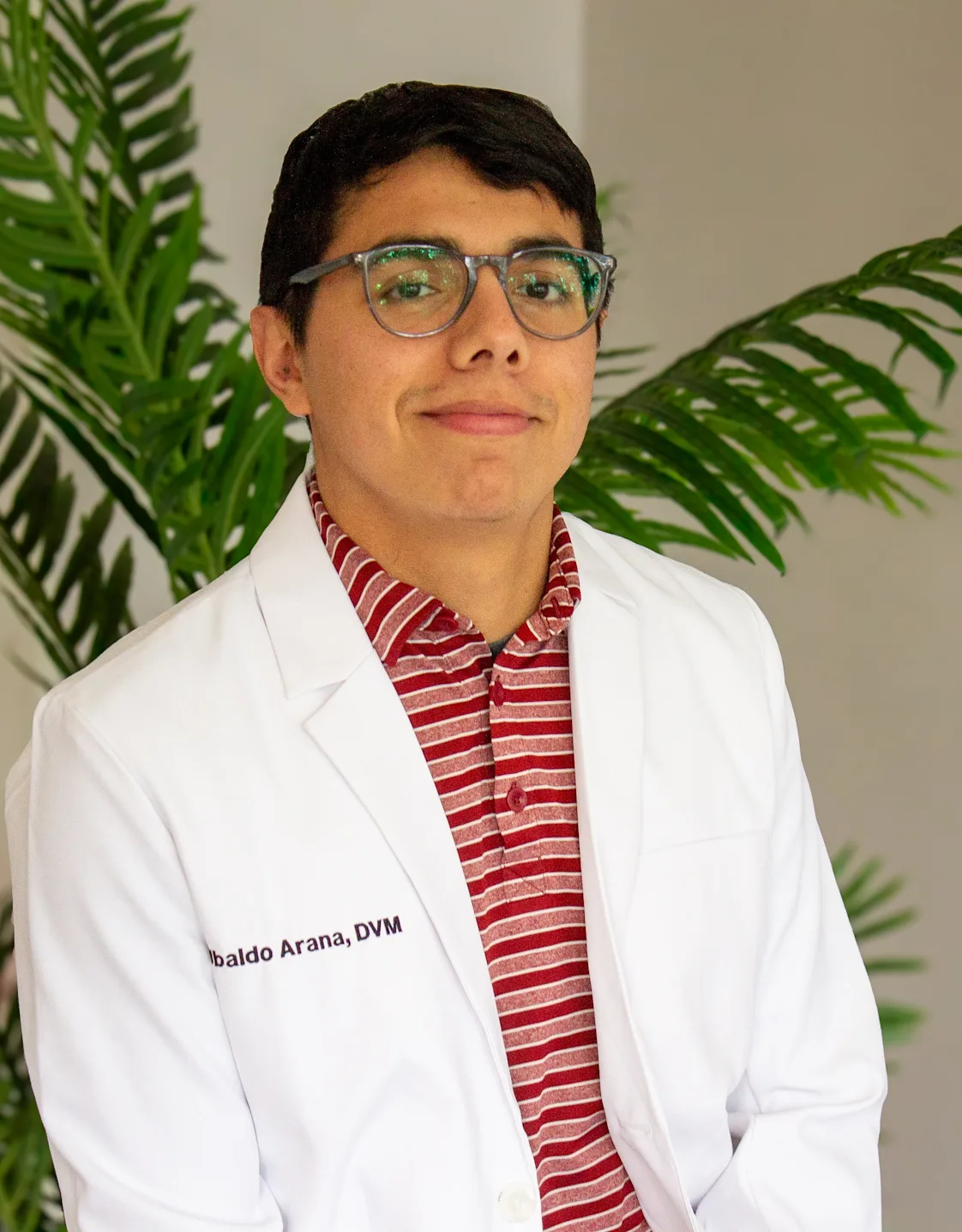 Dr. Ubaldo Arana Dr. Ubaldo Arana