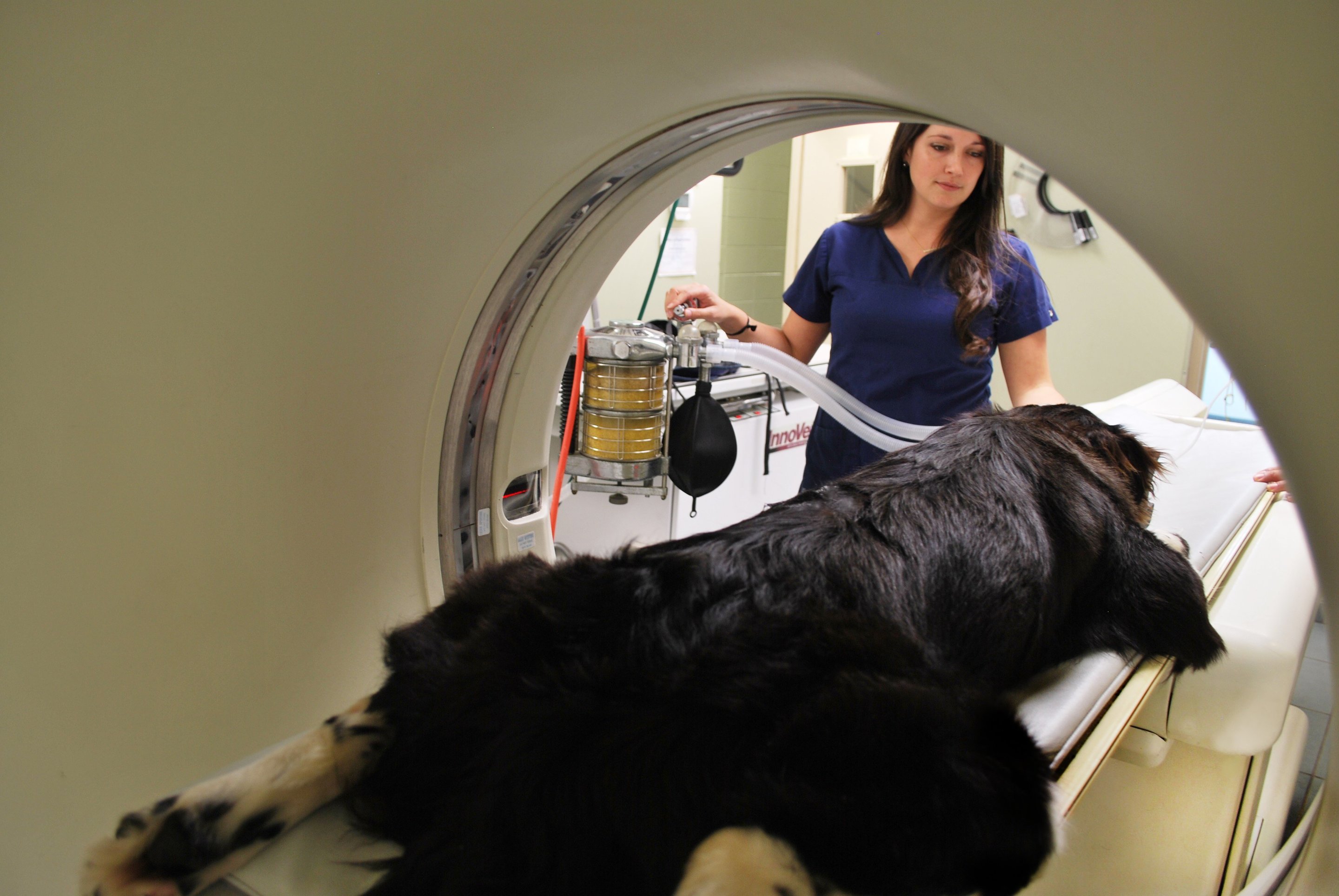 AMC of Hattiesburg CT Scan