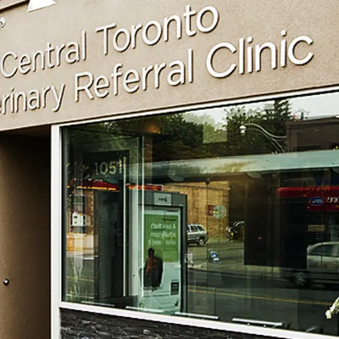 Central Toronto Veterinary Referral Clinic