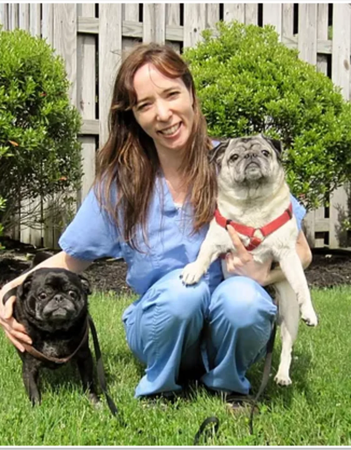 Jessica with 2 pugs in the grass. Jessica with 2 pugs in the grass.