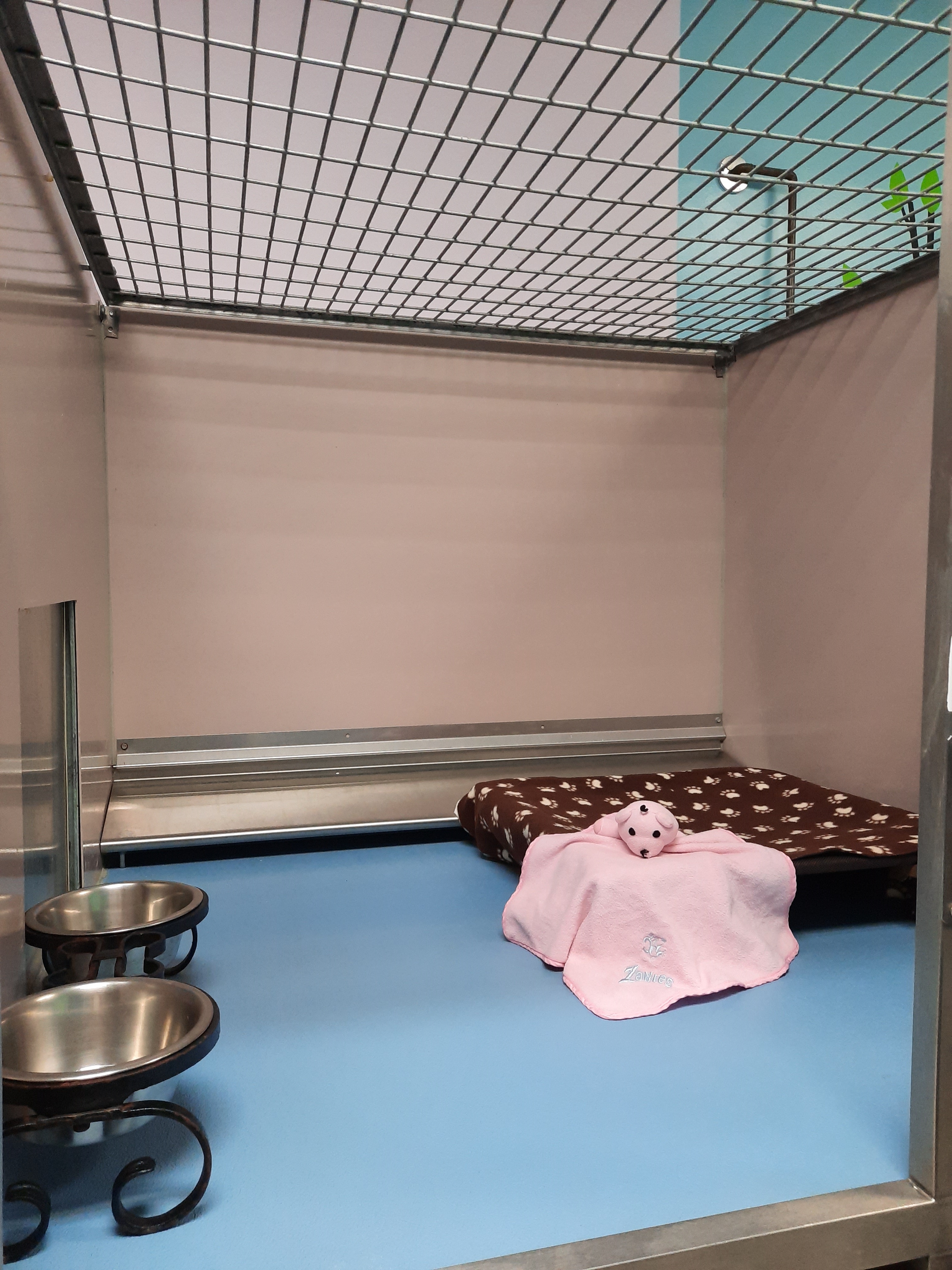 Barkley Pet Hotel Kennel