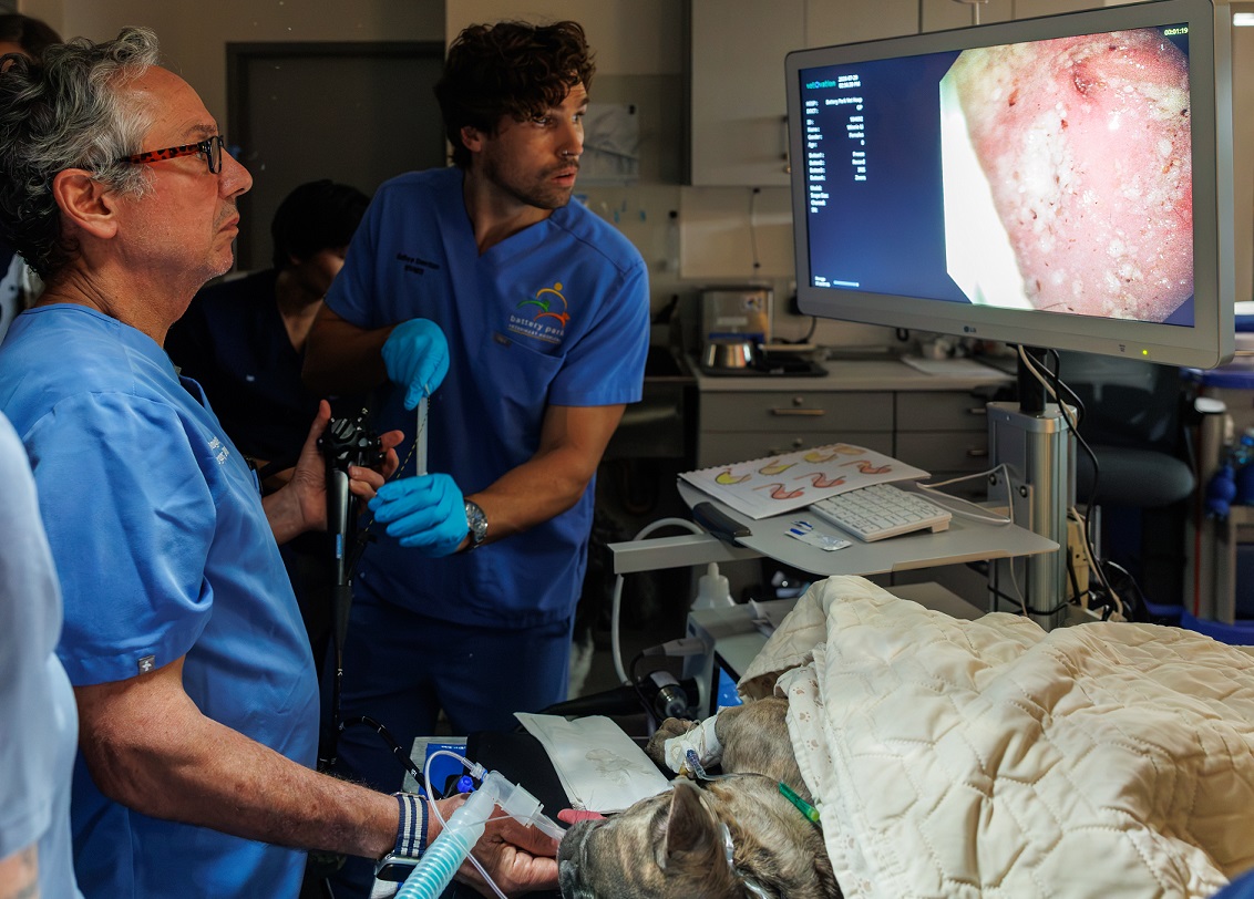 Dr. Berger & Dr. Denton & Endoscopy