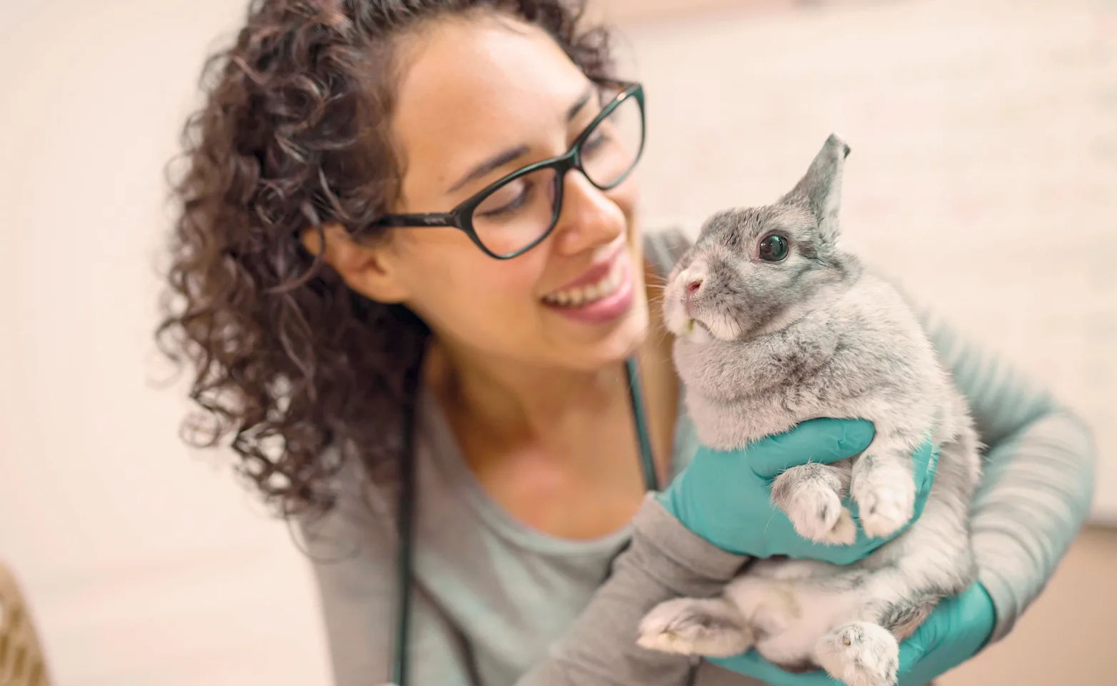 Veterinarian with a rabbit Veterinarian with a rabbit