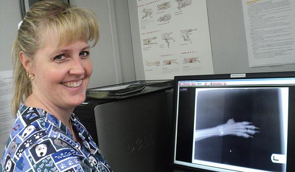 Licensed veterinary technician, Ann reviews radiographs of a patient's paw. 