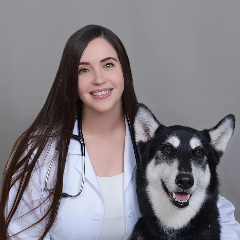 Dr. Megan Einsmann Dr. Megan Einsmann