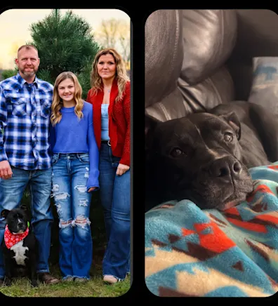 Doni of Value Vet with her daughter, and her 2 dogs Doni of Value Vet with her daughter, and her 2 dogs