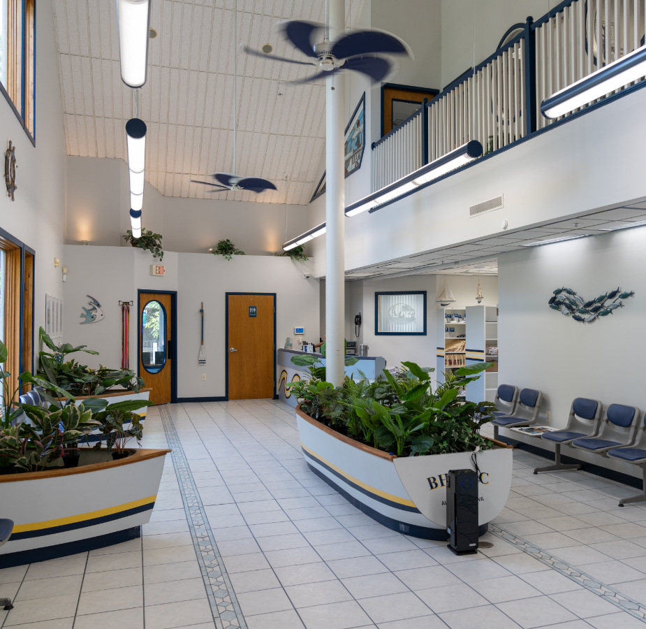 Belle Haven Animal Medical Centre waiting area