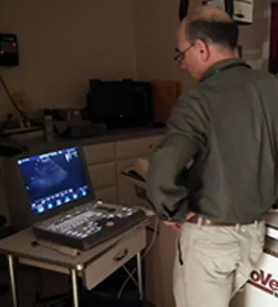 Acoaxet Veterinary Clinic Mark Stamoulis Acoaxet Veterinary Clinic Mark Stamoulis