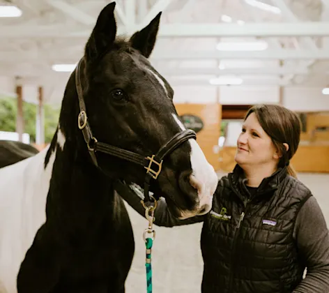 Evergreen Equine doctor attending a horse in a barn. Evergreen Equine doctor attending a horse in a barn.
