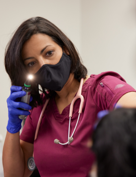 Vet examining dog with a flashlight