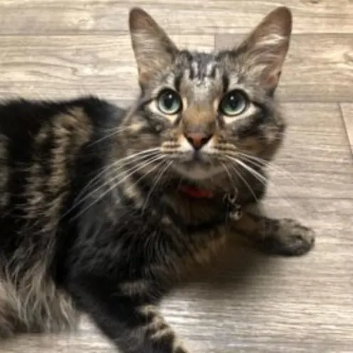 Charlie Beasley Charlie Beasley