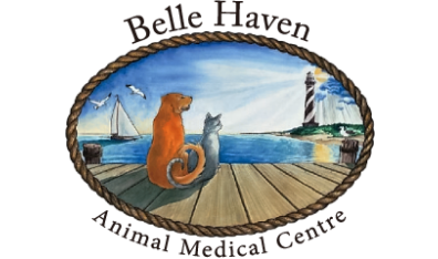 Belle Haven Animal Medical Centre Logo