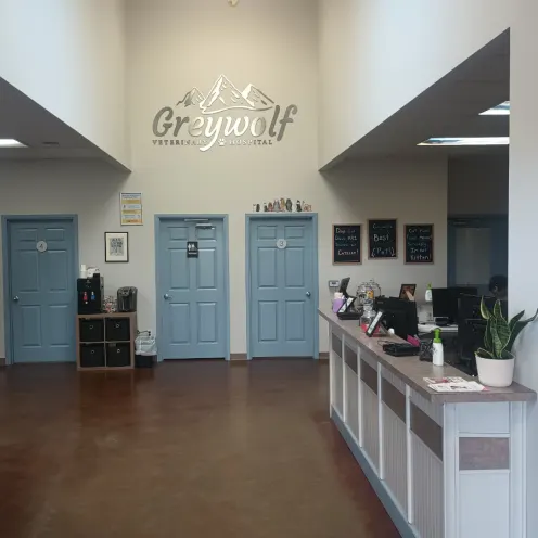 Front entryway of Greywolf Veterinary Hospital