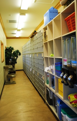 Westside Pet Hospital Storage