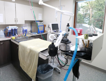 Dental Suite at Deerfield Animal Care Center