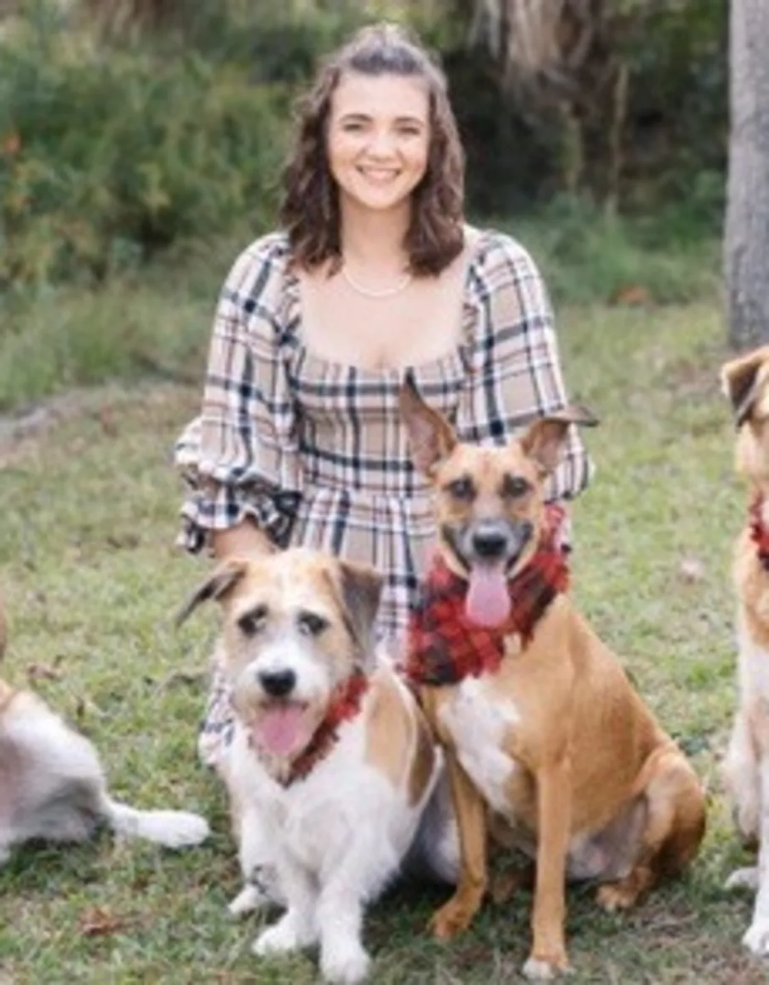 Dr. Angel Mesimer Dr. Angel Mesimer