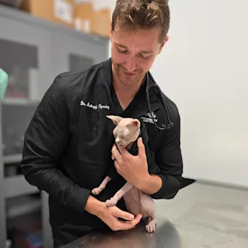 Staff member holding a cat Staff member holding a cat