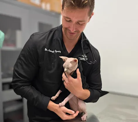 Staff member holding a cat Staff member holding a cat
