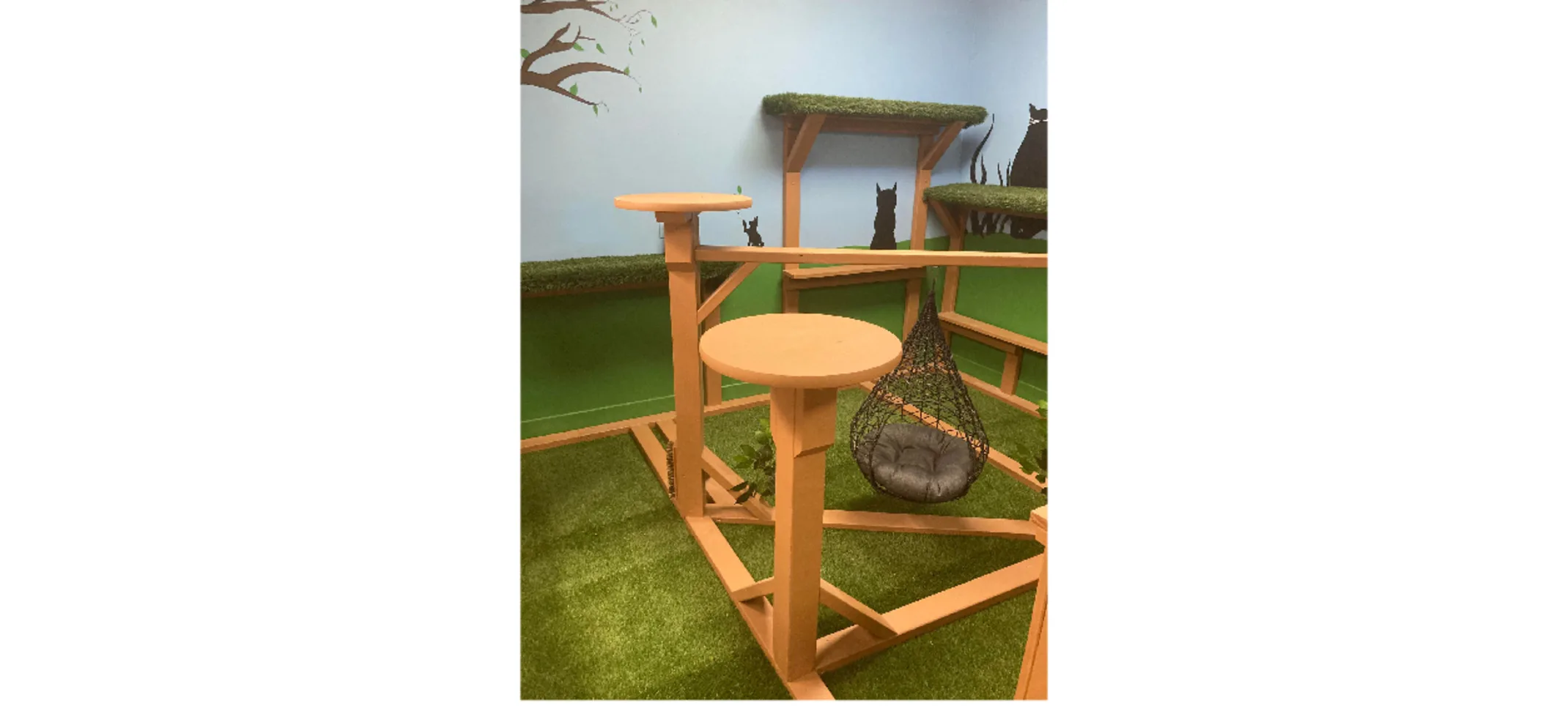 Kitty Jungle Gym Kitty Jungle Gym