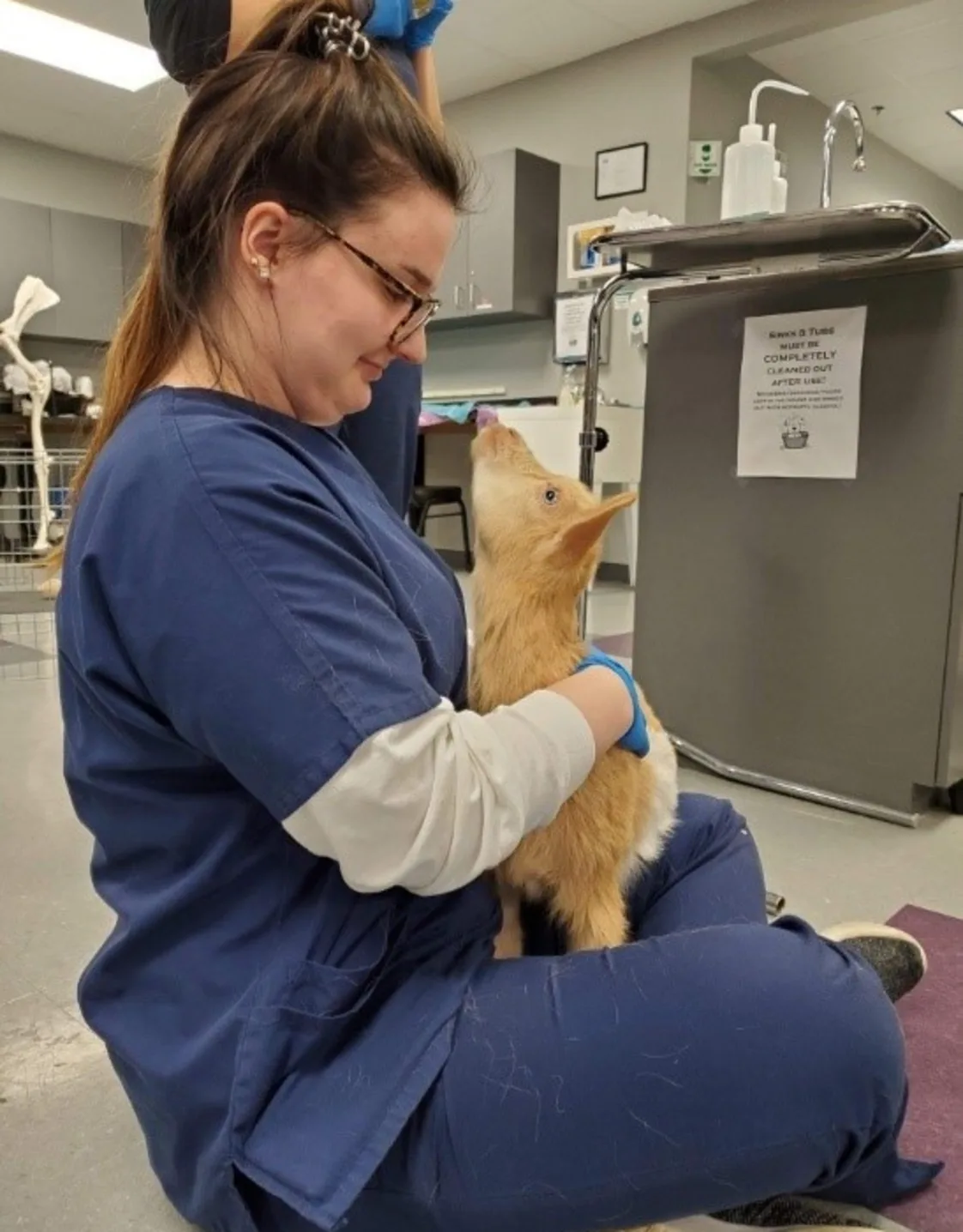 Thiensville-Mequon Small Animal Clinic 0229 - Kylie Thiensville-Mequon Small Animal Clinic 0229 - Kylie