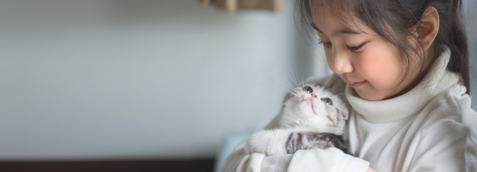 Girl Holding a Gray Kitten at Home