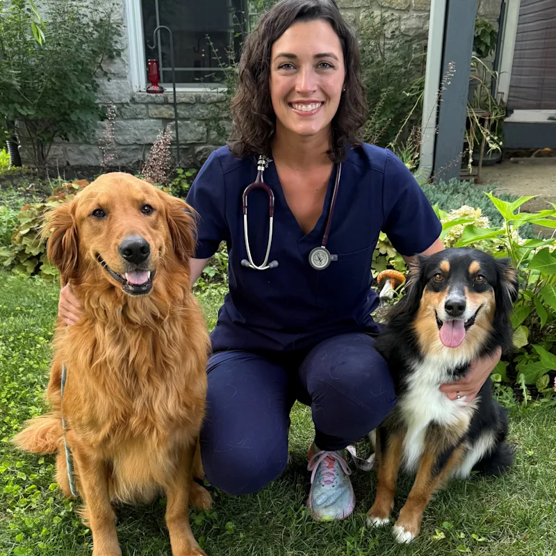 Picture of woman sitting on stairs while smiling at camera Picture of woman sitting on stairs while smiling at camera